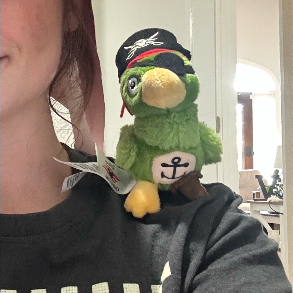 Disney Cruise Line Limited Edition Pirate Parrot Plush Toy - Green and Yellow